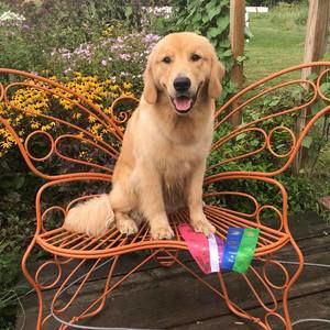 Meet your Posher, Sheila